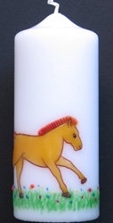 Pony